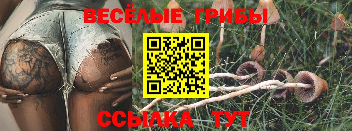 Псилоцибиновые грибы Cubensis Черкесск
