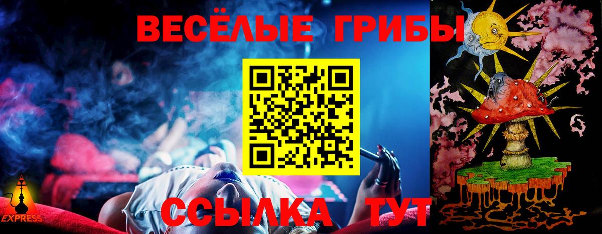 Черкесск  Псилоцибиновые грибы Cubensis  Псилоцибиновые грибы мухоморы  Вход с VPN 